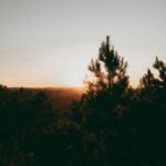 Short Trip
